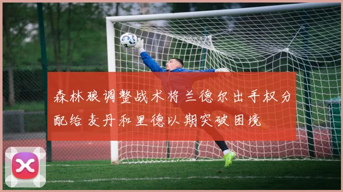 森林狼调整战术将兰德尔出手权分配给麦丹和里德以期突破困境